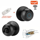Biometric Fingerprint Smart Door Lock – Keyless Electronic Security Entry