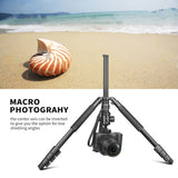 Professional Portable Travel Camera Tripod Aluminium Alloy 4-Sections Tripod Stand for Canon Nikon SLR DSLR Digital Camera